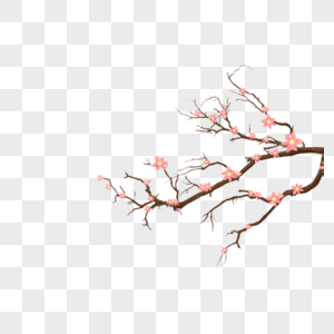 春天的花枝图片素材