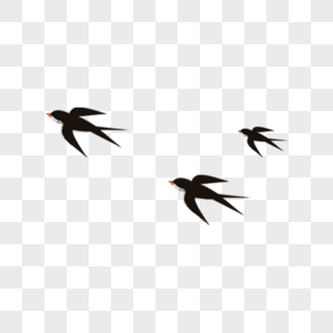 燕穴飞翔的燕子素材