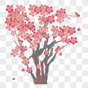 樱花树浪漫樱花节图片