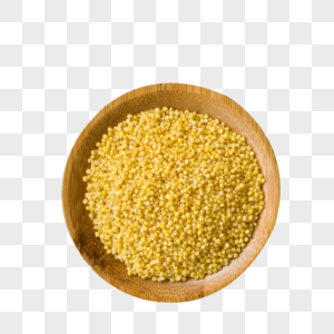 谷物黄小米图片