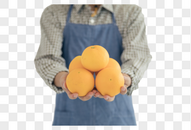 果农手捧橙子图片