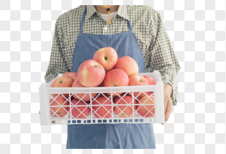 果农端一篮子苹果高清图片