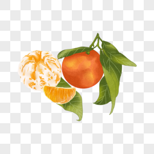 手绘橘子图片