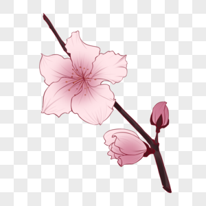 花朵卡通手绘风淡色桃花图片素材
