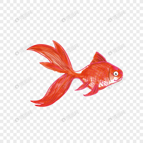 动物类卡通手绘风红鲤鱼图片