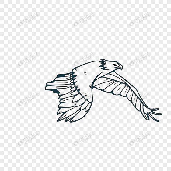 动物类卡通手绘风创意老鹰图片