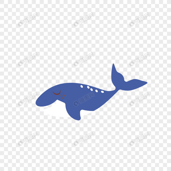 蓝皮鲨鱼图片