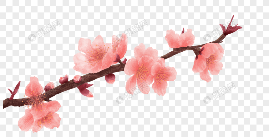 桃花枝元素素材下载 正版素材 摄图网