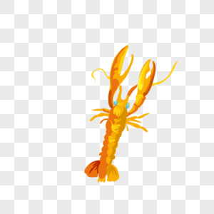 金色龙虾图片