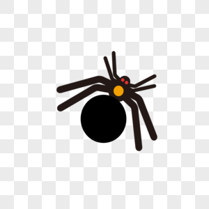 胖蜘蛛小物件雌蜘蛛高清图片