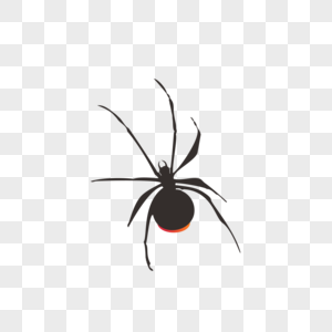 可爱蜘蛛动物雌蜘蛛高清图片