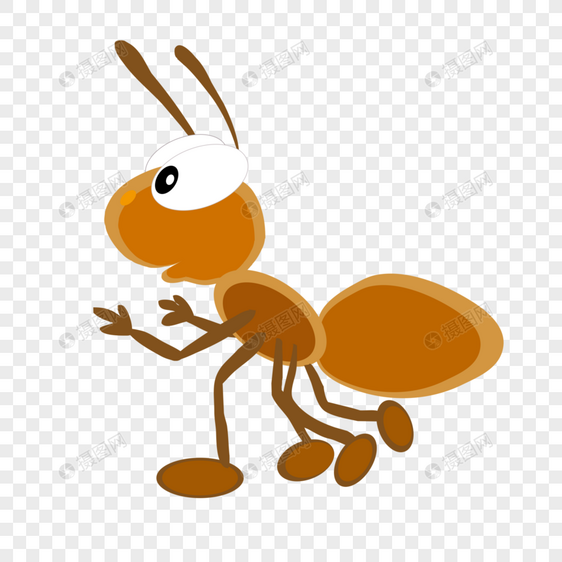 褐色蚂蚁图片