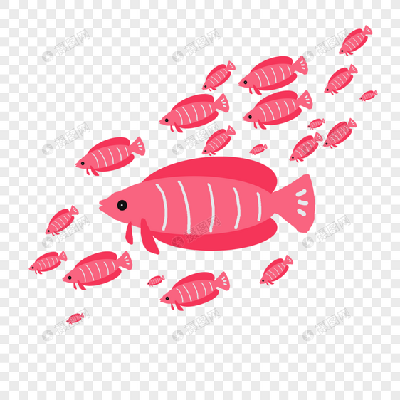 粉色鱼群图片