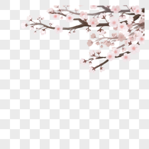 春季樱花枝图片