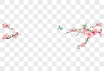 樱花枝樱花树杈吉野櫻高清图片