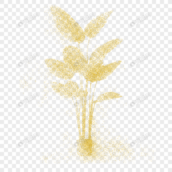金色粉末植物图片