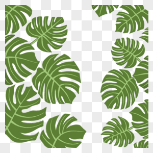 绿植植物图片
