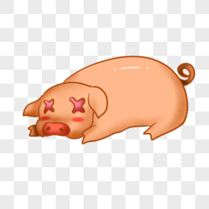 一只猪图片