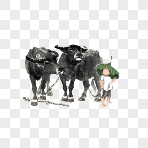放牛的牧童放牛的孩子高清图片