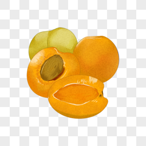 水果杏子图片