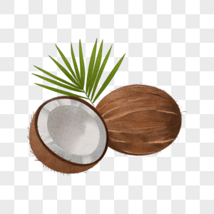 水果椰子椰子手绘高清图片