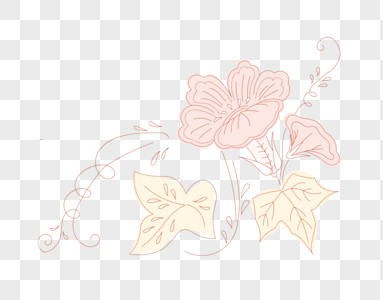 牵牛花花卉装饰图案边框图片