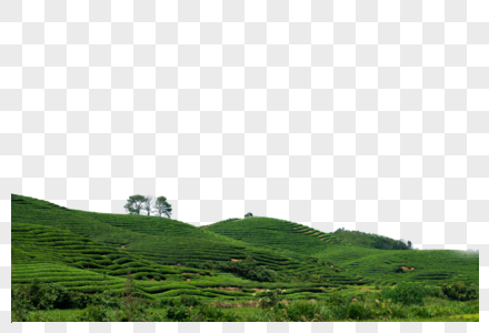 山坡耕种充满生机的山坡素材
