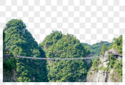 森林里的吊桥高清图片