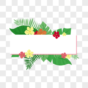 热带植物标题背景图片