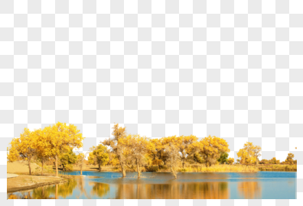 湖边树林图片