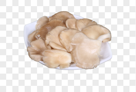 火锅食材香菇图片
