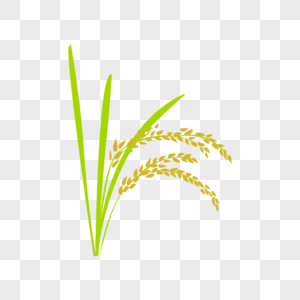 一束稻米稻米矢量图高清图片