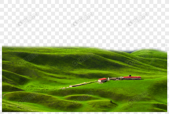 绿色山丘图片