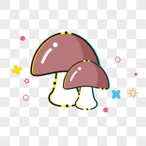 扁平香菇图片