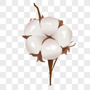 棉花叶子摄影图片 棉花叶子海报设计模板 棉花叶子创意图片 棉花叶子