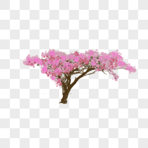粉色桃花树图片