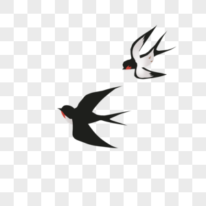飞翔的燕子燕子治愈高清图片