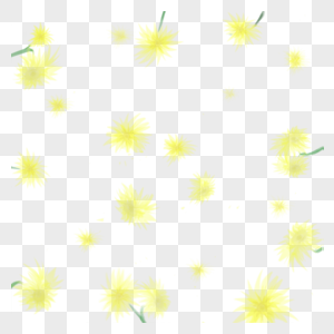 chrysanthemum图片