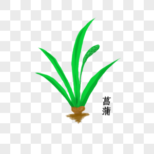 卡通植被图片