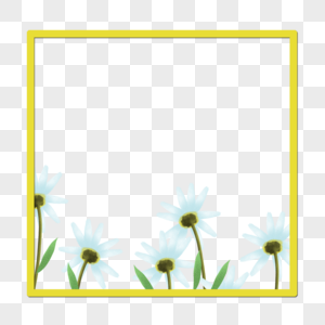 白色花卉边框图片