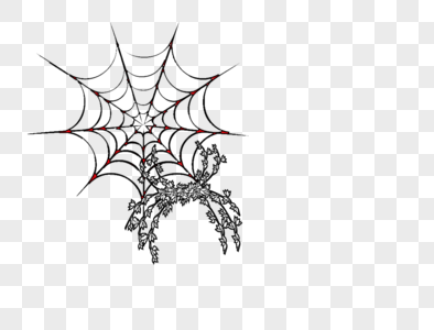 蜘蛛上网图片