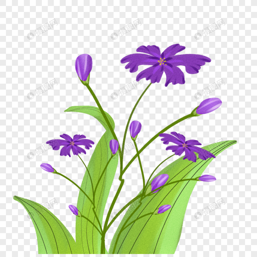 紫色的花元素素材下载 正版素材 摄图网