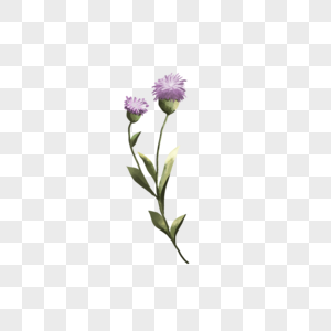 水彩紫色花植物背景纹理图片