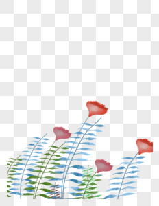 干花植物叶子装饰图片