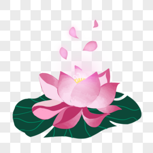 荷花卡通画图片