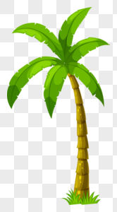 椰子树海边植树树高清图片