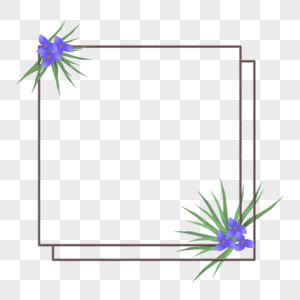 花卉边框图片
