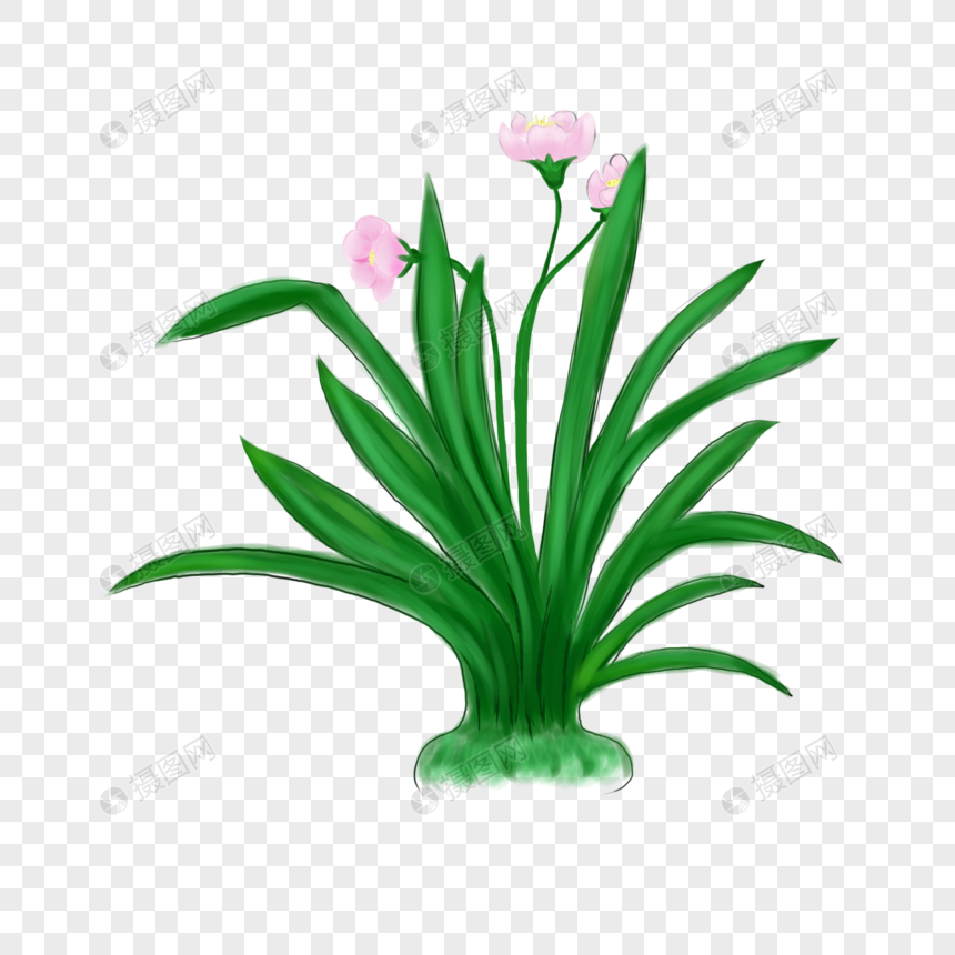 手绘水仙花元素素材下载 正版素材 摄图网 手绘水仙花元素素材下载 正版素材 摄图网