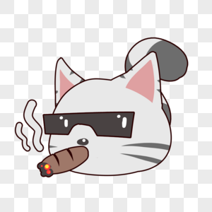 滚球猫表情包图片素材