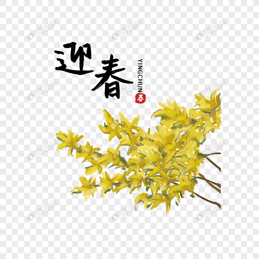 手绘植物花卉迎春花图片